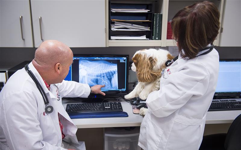 Pacemaker Therapy