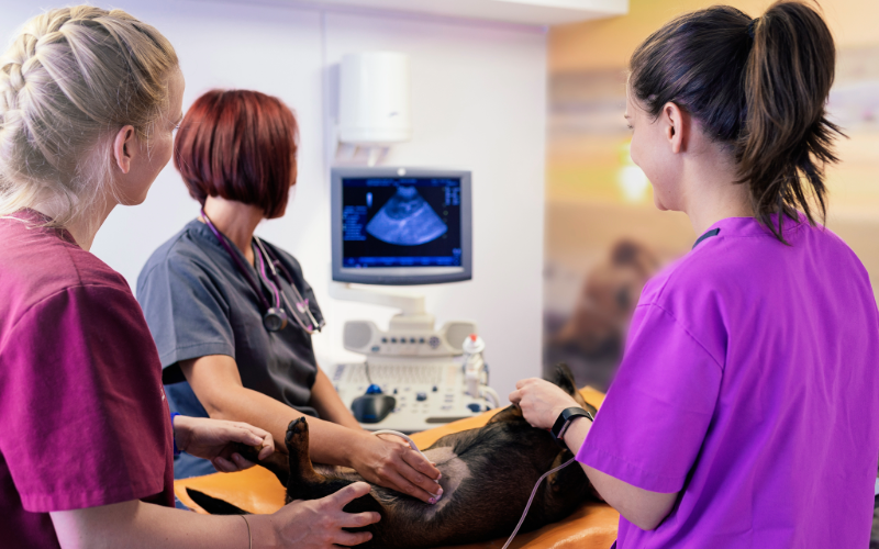 ultrasound