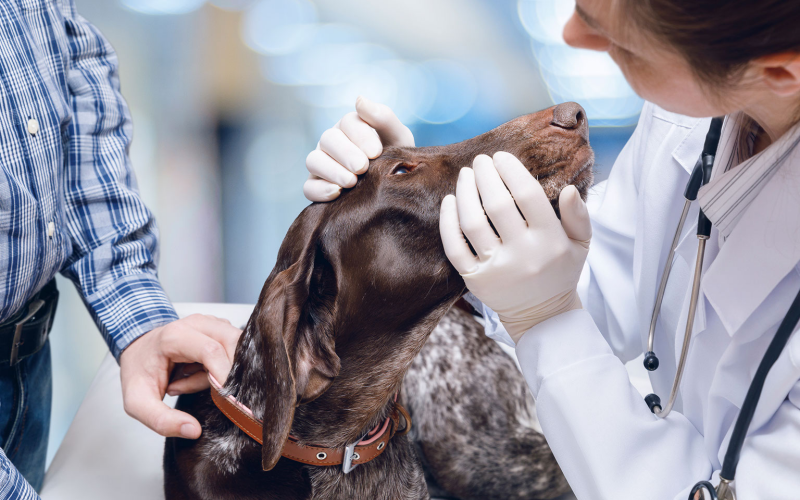 Value of a biopsy-1