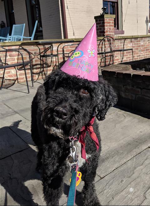 Emily's first birthday after treatment